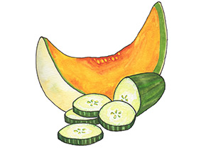 PipingRock Cucumber Melon Fragrance Oil
