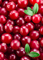 PipingRock Cranberry Supplements